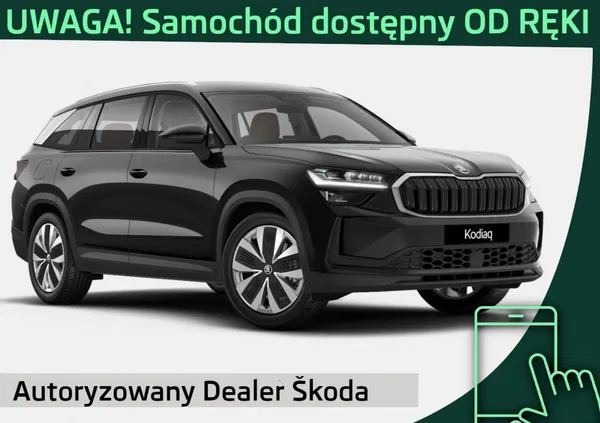 samochody osobowe Skoda Kodiaq cena 2366900 przebieg: 3, rok produkcji 2024 z Zakopane